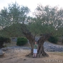 2009-07-06_18-45-22